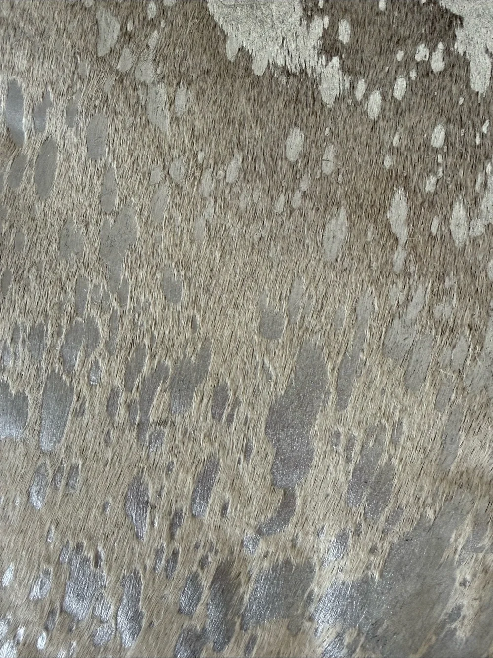 Neutral Zone neutral texture